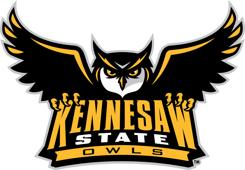 Kennesaw State Owls 2012-Pres Primary Logo iron on transfers for clothing